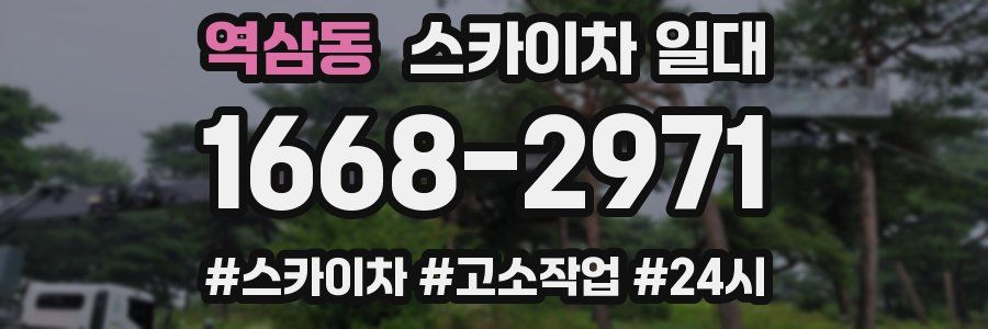 역삼동 스카이차 일대