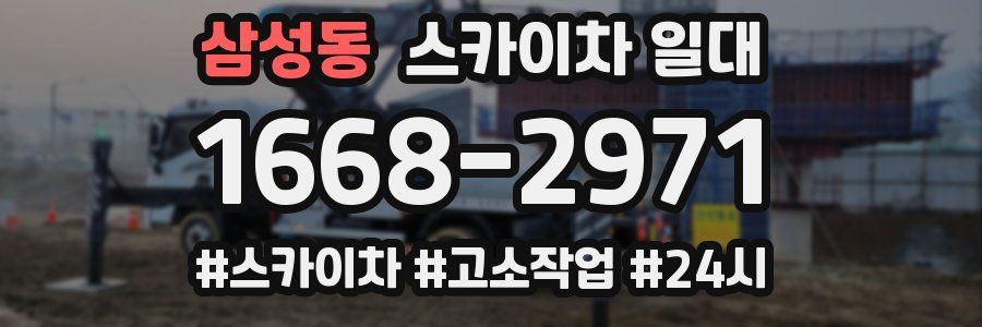 삼성동 스카이차 일대