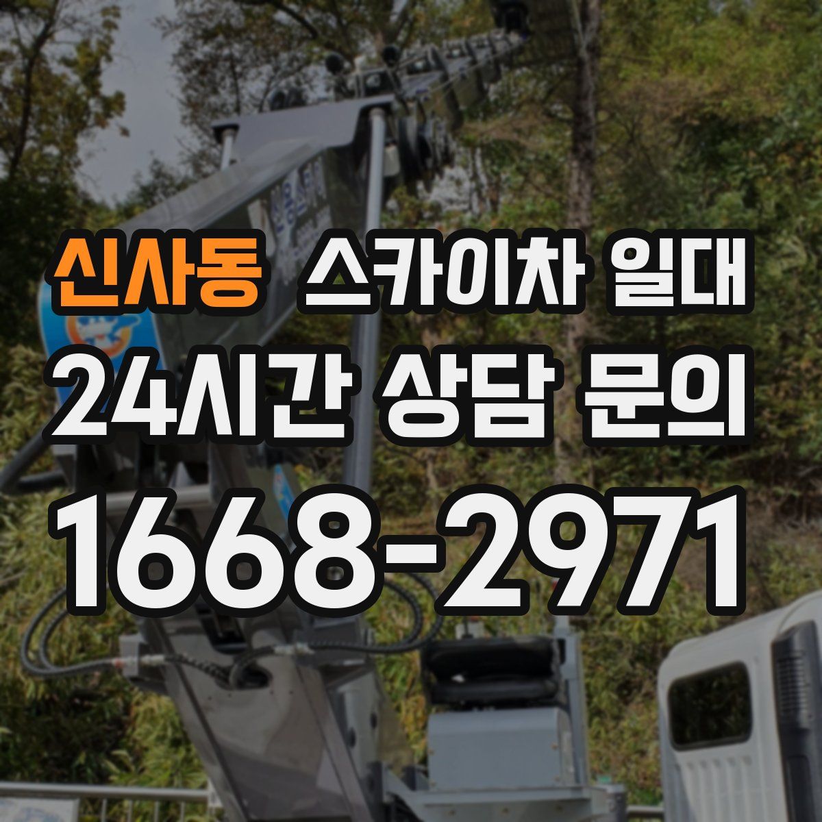 신사동 스카이차 일대