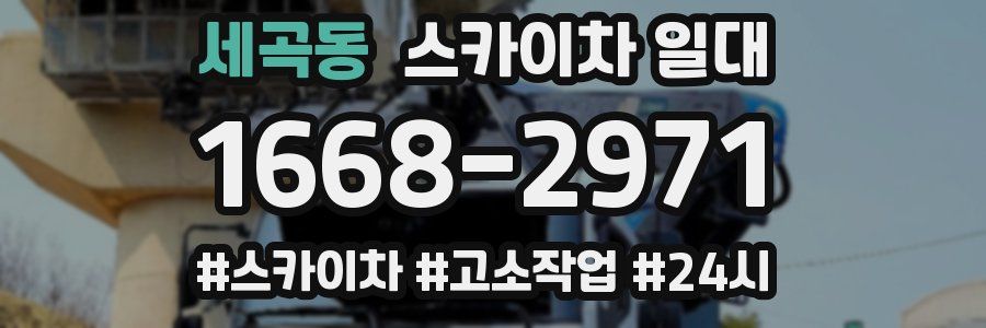 세곡동 스카이차 일대