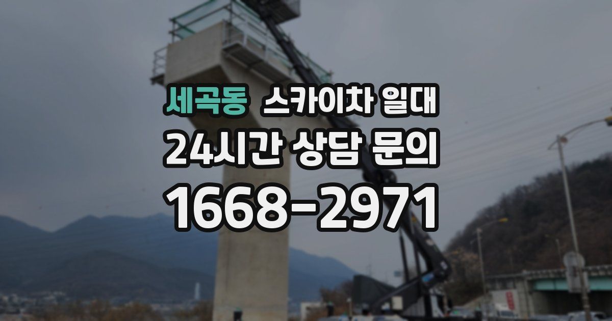 세곡동 스카이차 일대