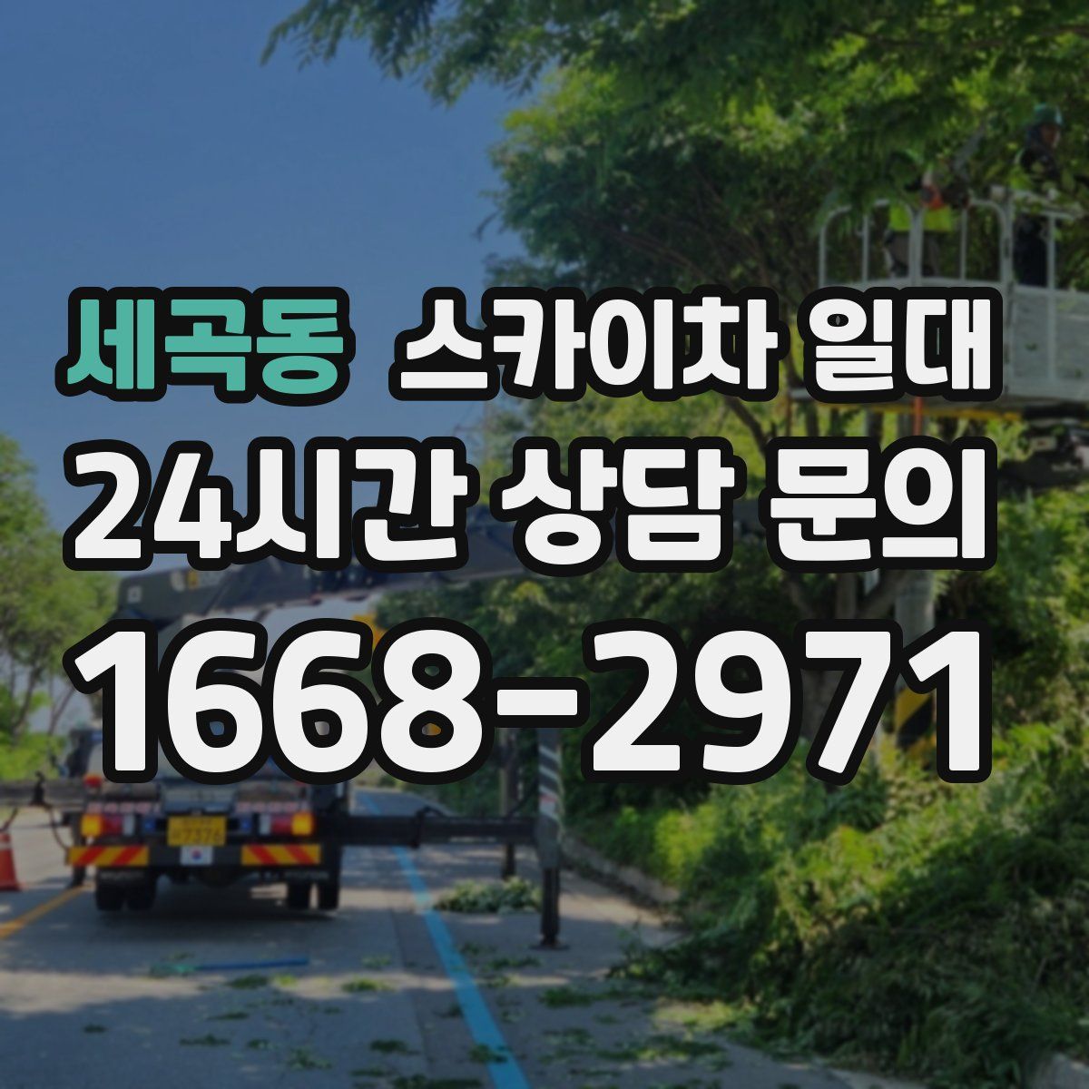세곡동 스카이차 일대