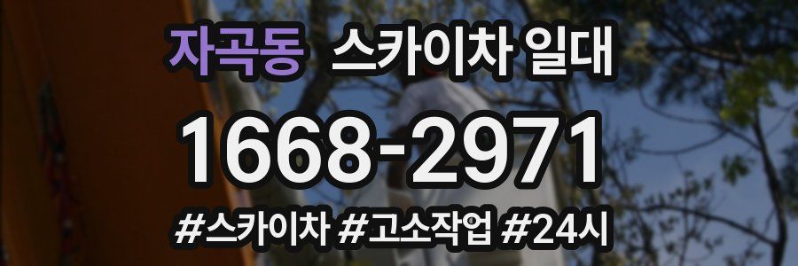 자곡동 스카이차 일대