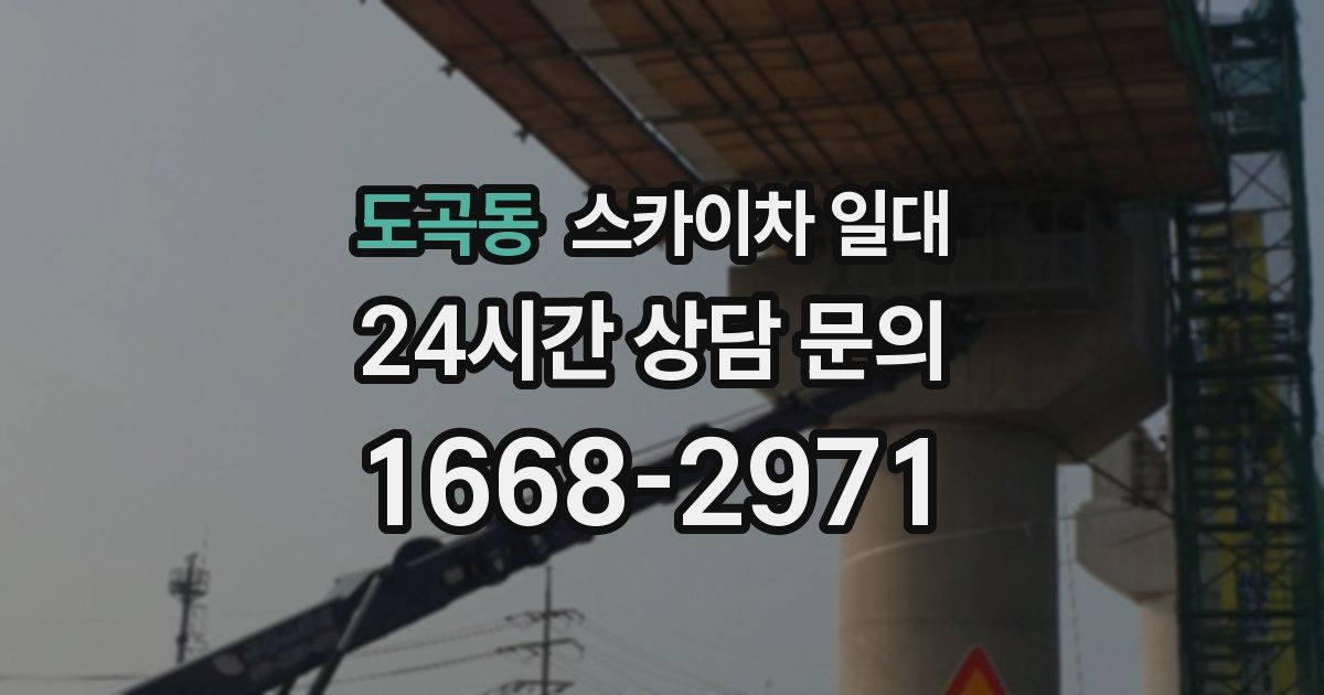 도곡동 스카이차 일대