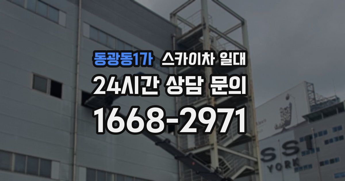 동광동1가 스카이차 일대
