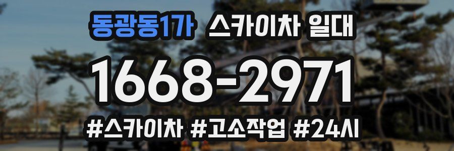 동광동1가 스카이차 일대