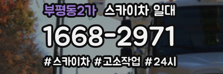 부평동2가 스카이차 일대