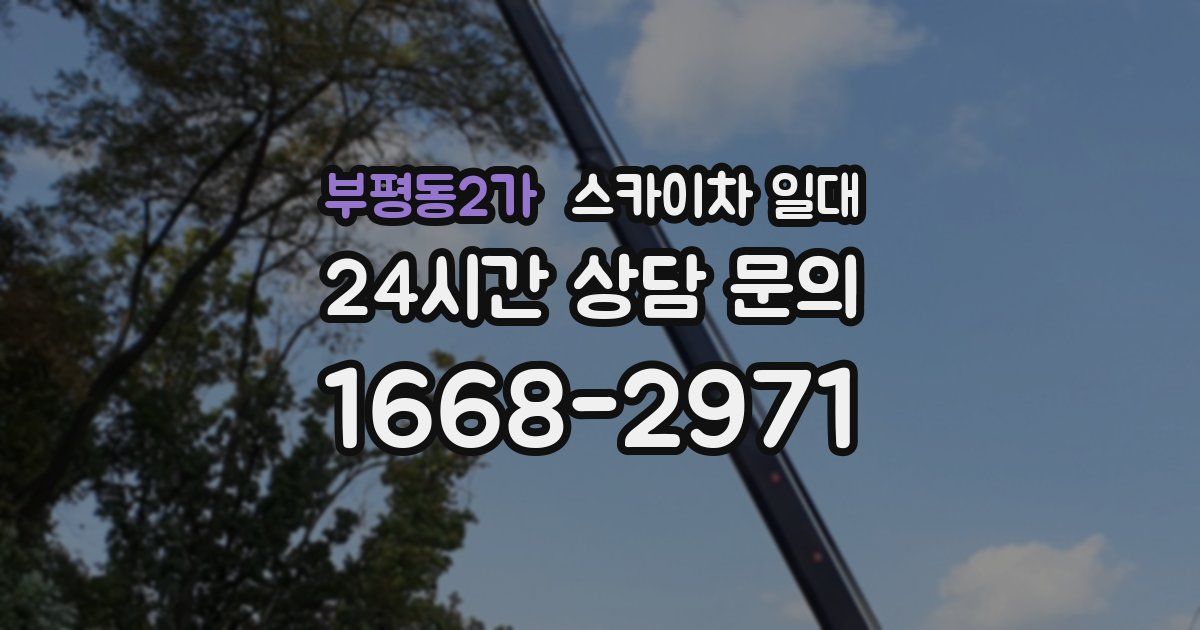 부평동2가 스카이차 일대