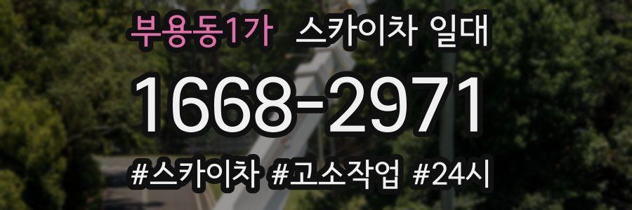 부용동1가 스카이차 일대