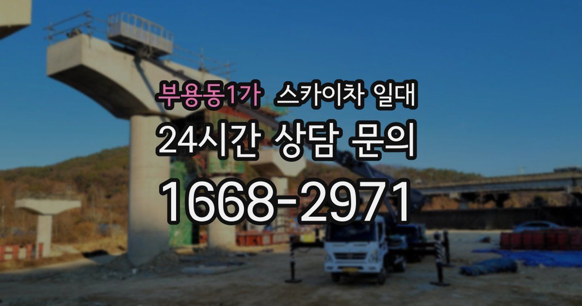 부용동1가 스카이차 일대