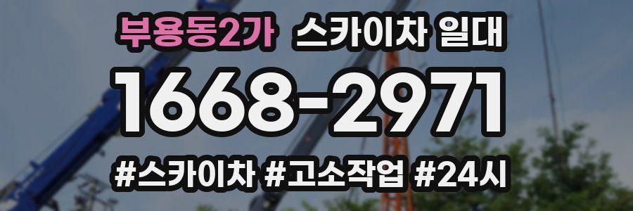 부용동2가 스카이차 일대