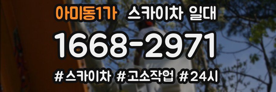아미동1가 스카이차 일대
