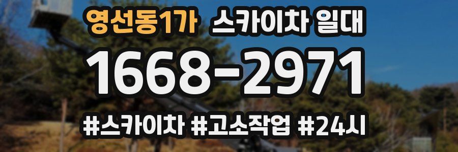 영선동1가 스카이차 일대