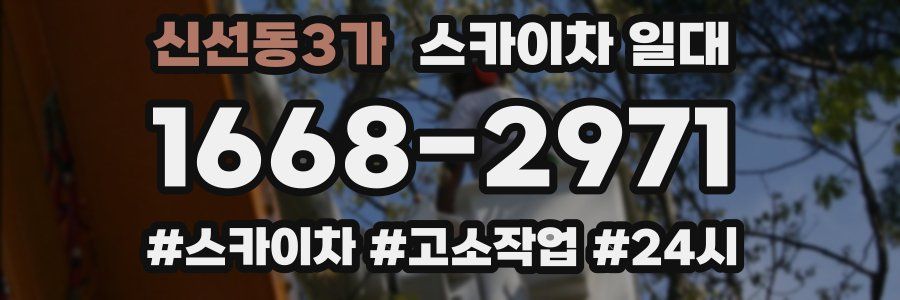 신선동3가 스카이차 일대
