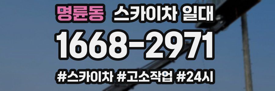 명륜동 스카이차 일대