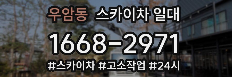 우암동 스카이차 일대