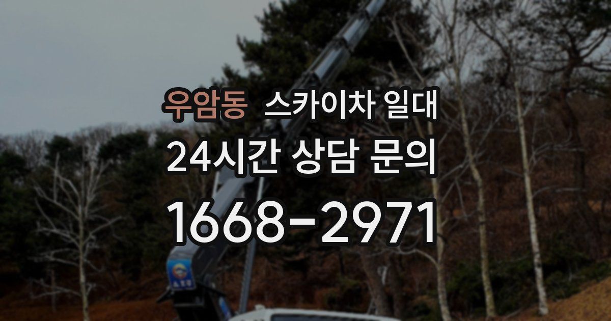 우암동 스카이차 일대