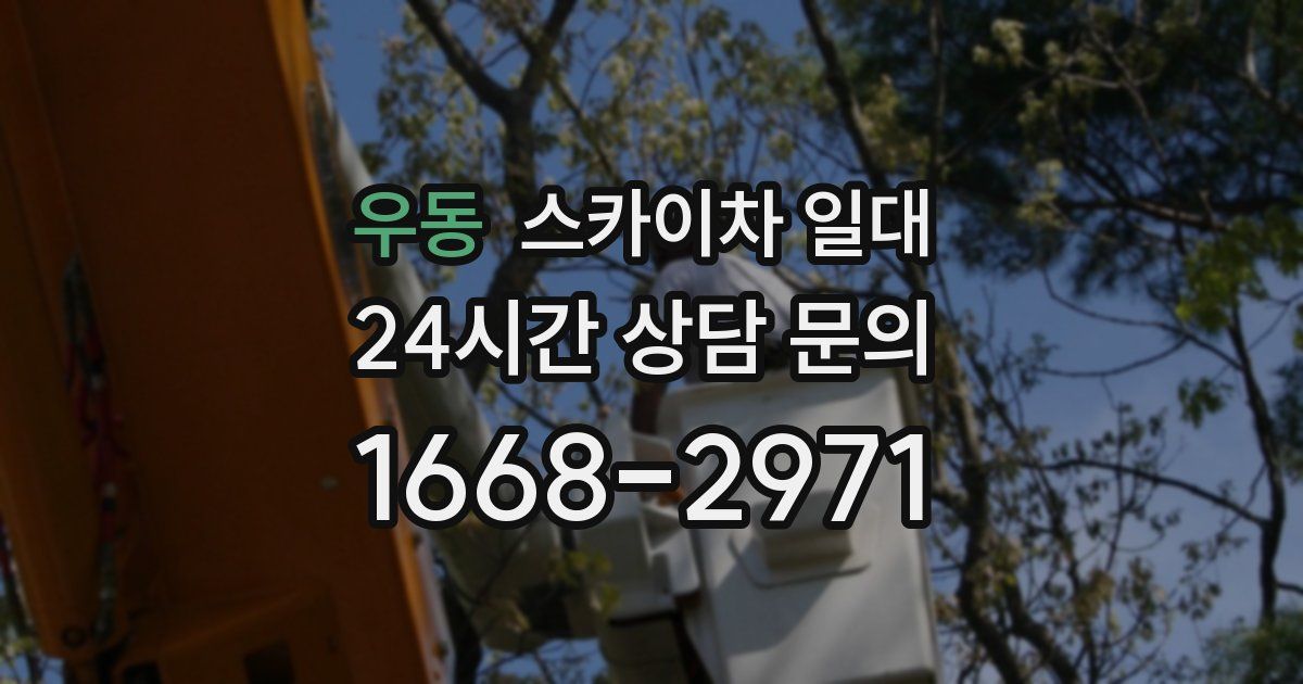 우동 스카이차 일대