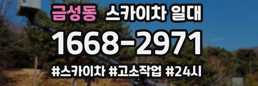금성동 스카이차 일대