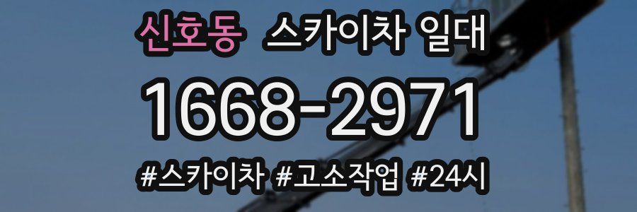 신호동 스카이차 일대