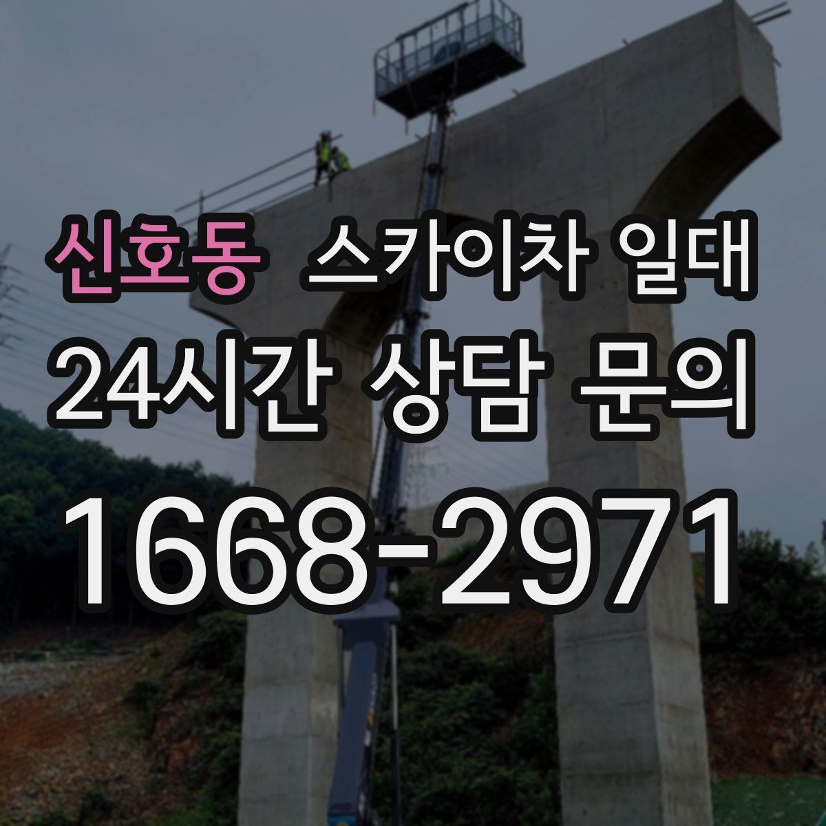 신호동 스카이차 일대