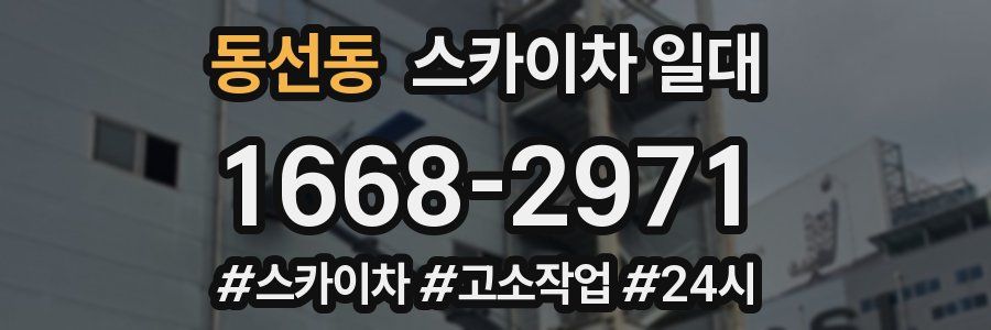 동선동 스카이차 일대