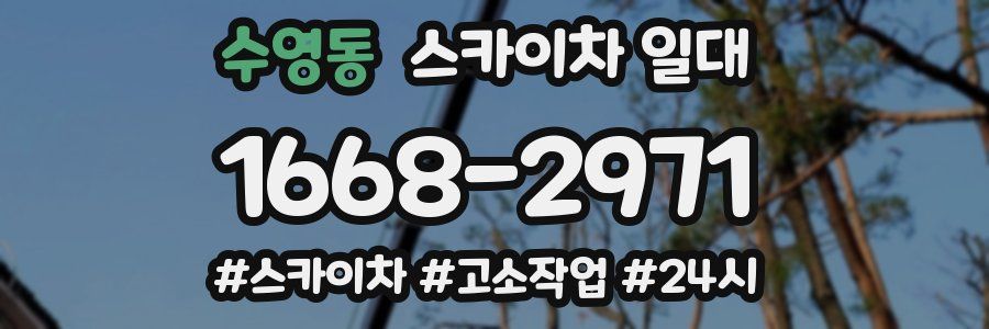 수영동 스카이차 일대
