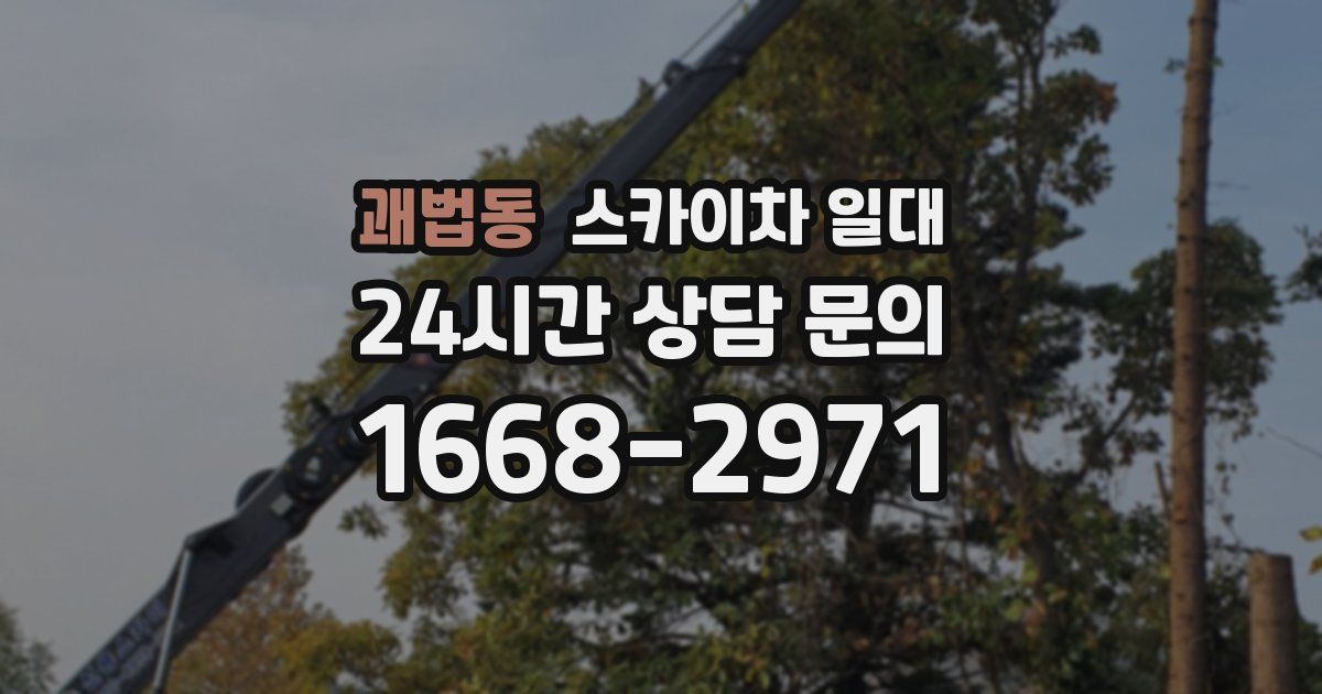 괘법동 스카이차 일대