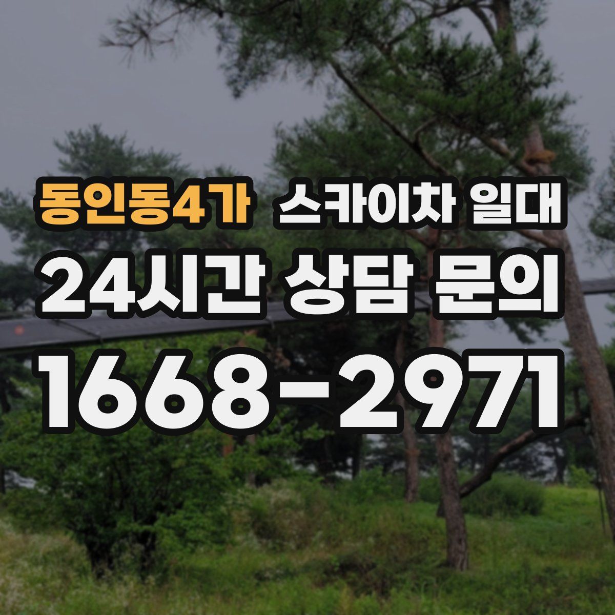 동인동4가 스카이차 일대