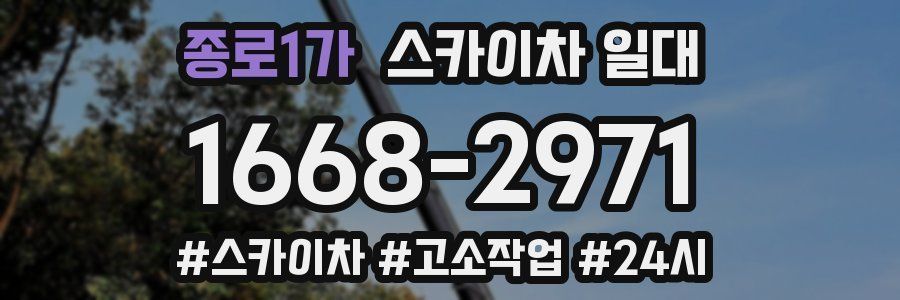 종로1가 스카이차 일대