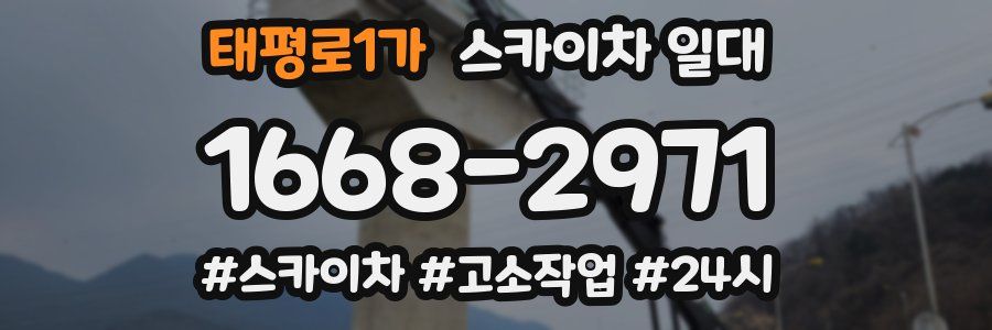 태평로1가 스카이차 일대