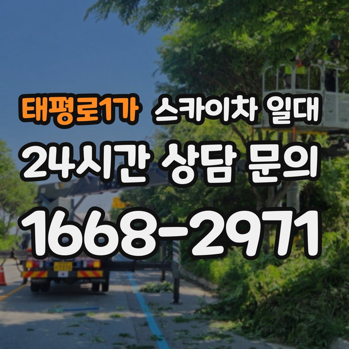 태평로1가 스카이차 일대
