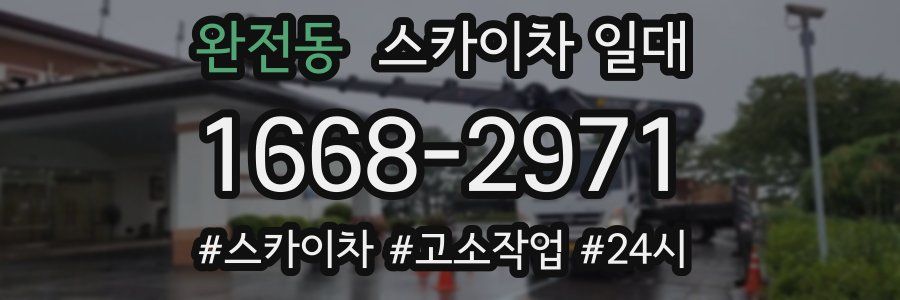 완전동 스카이차 일대