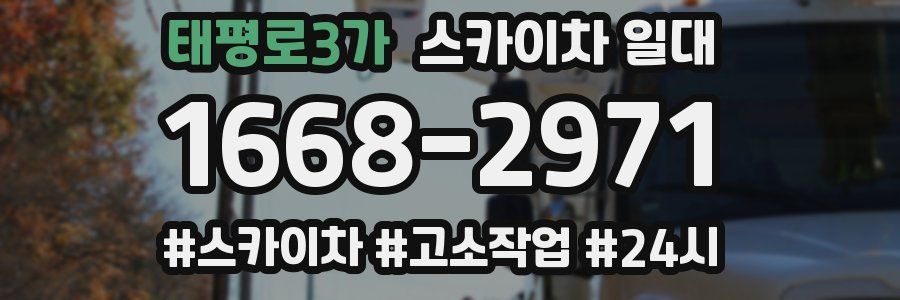 태평로3가 스카이차 일대