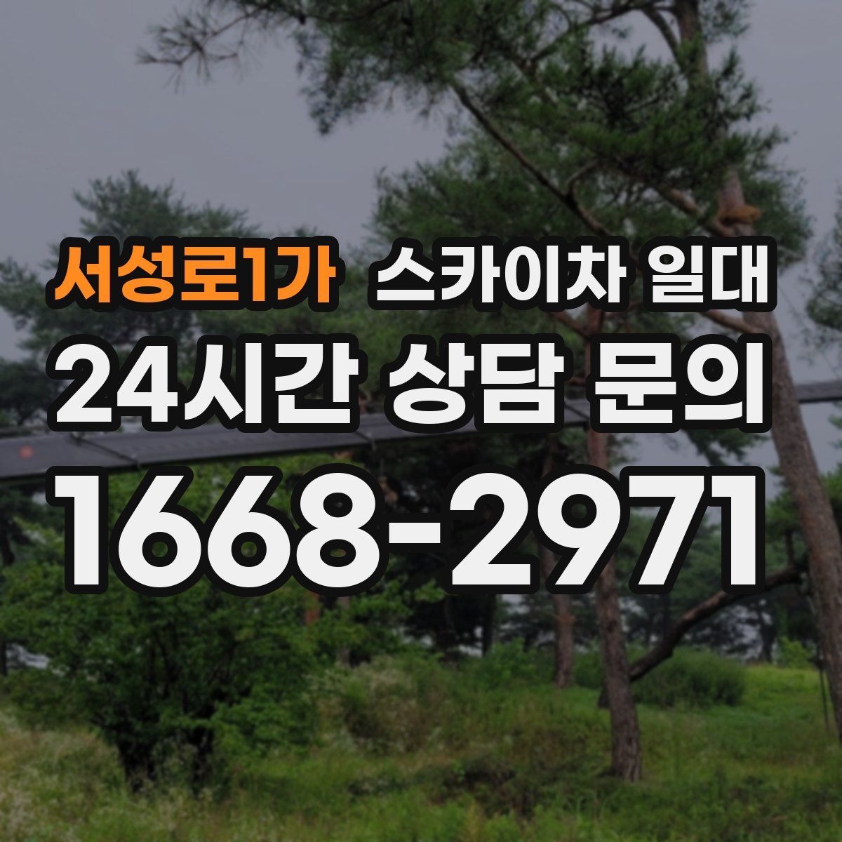 서성로1가 스카이차 일대