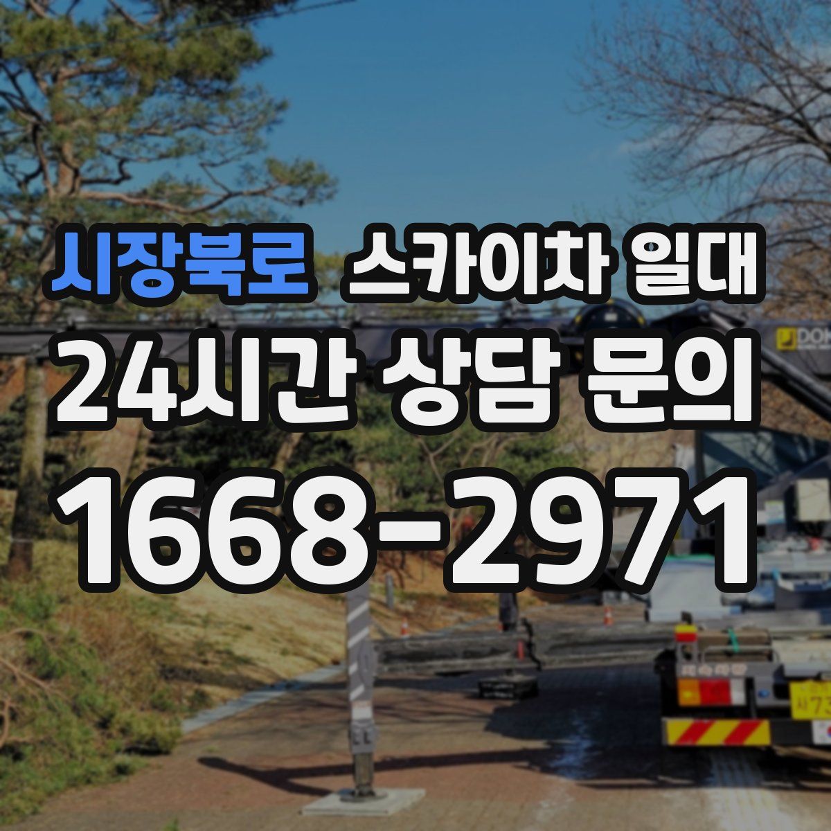 시장북로 스카이차 일대