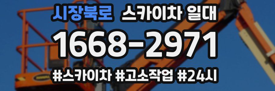 시장북로 스카이차 일대