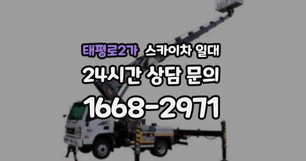 태평로2가 스카이차 일대