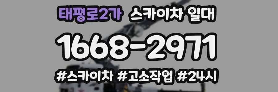 태평로2가 스카이차 일대