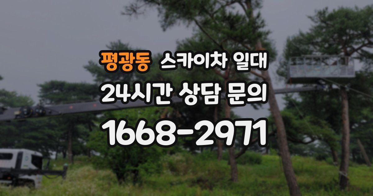 평광동 스카이차 일대