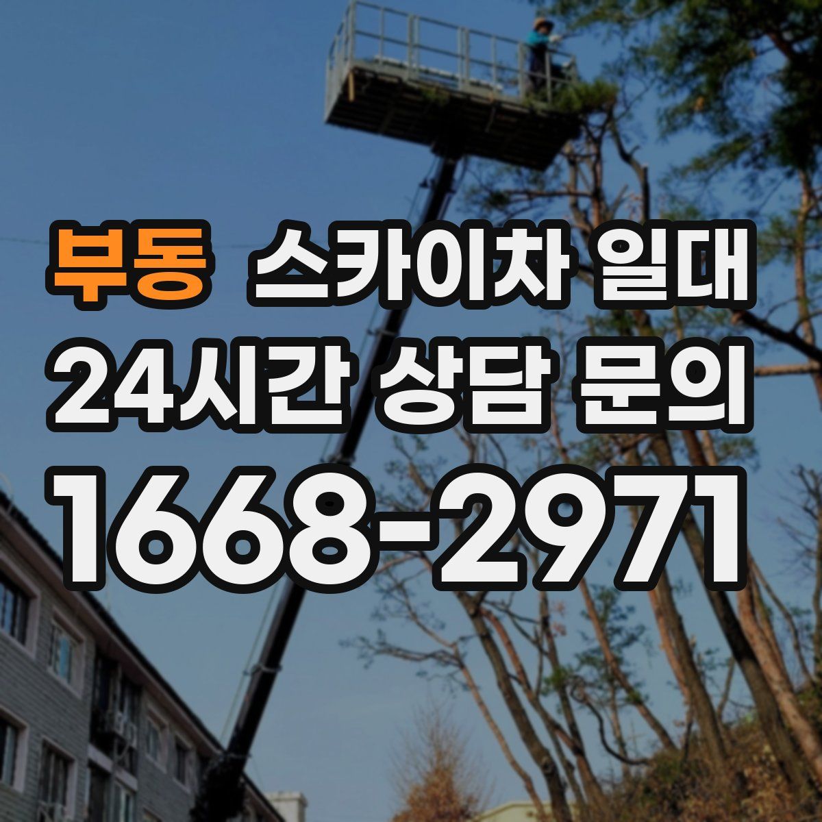 부동 스카이차 일대