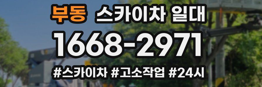 부동 스카이차 일대