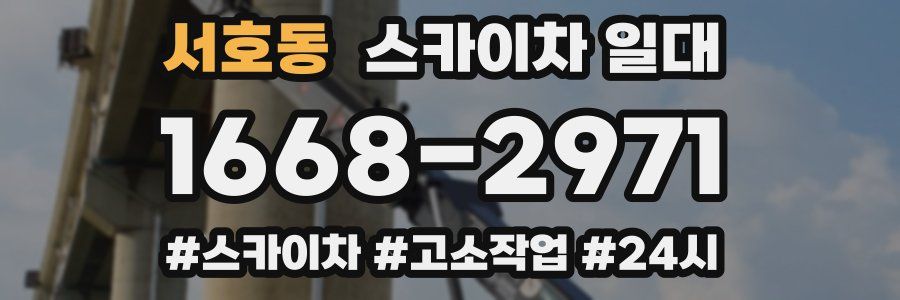 서호동 스카이차 일대