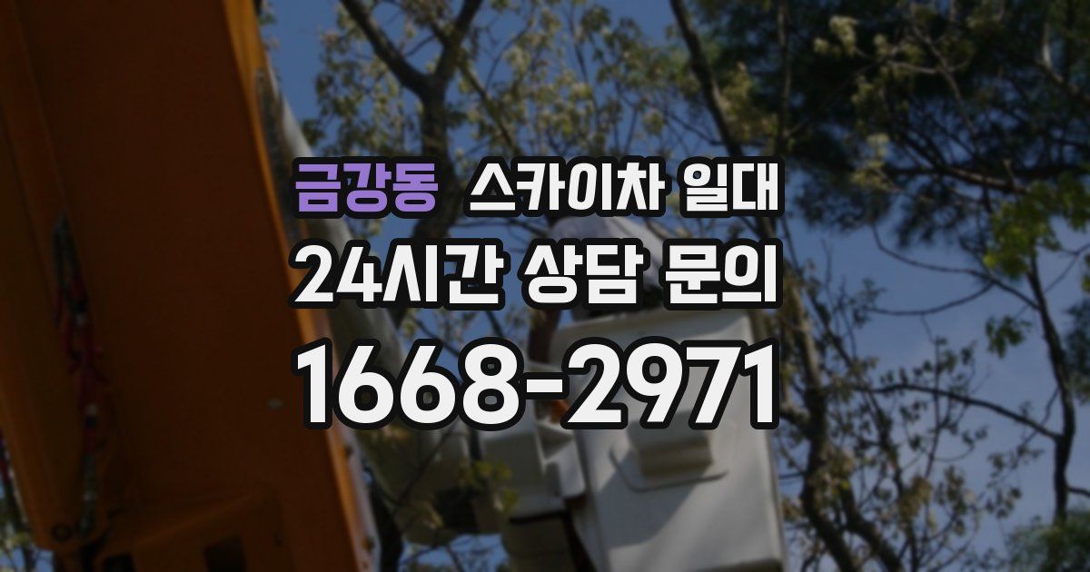 금강동 스카이차 일대