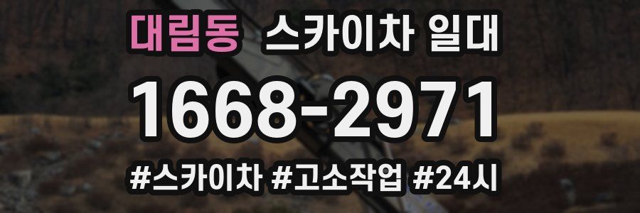 대림동 스카이차 일대