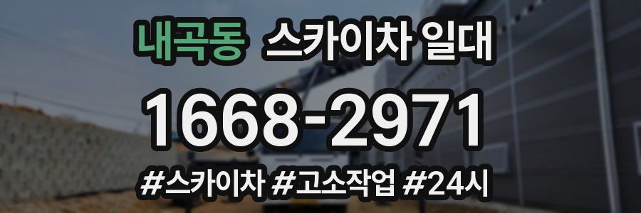 내곡동 스카이차 일대