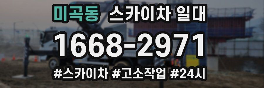 미곡동 스카이차 일대