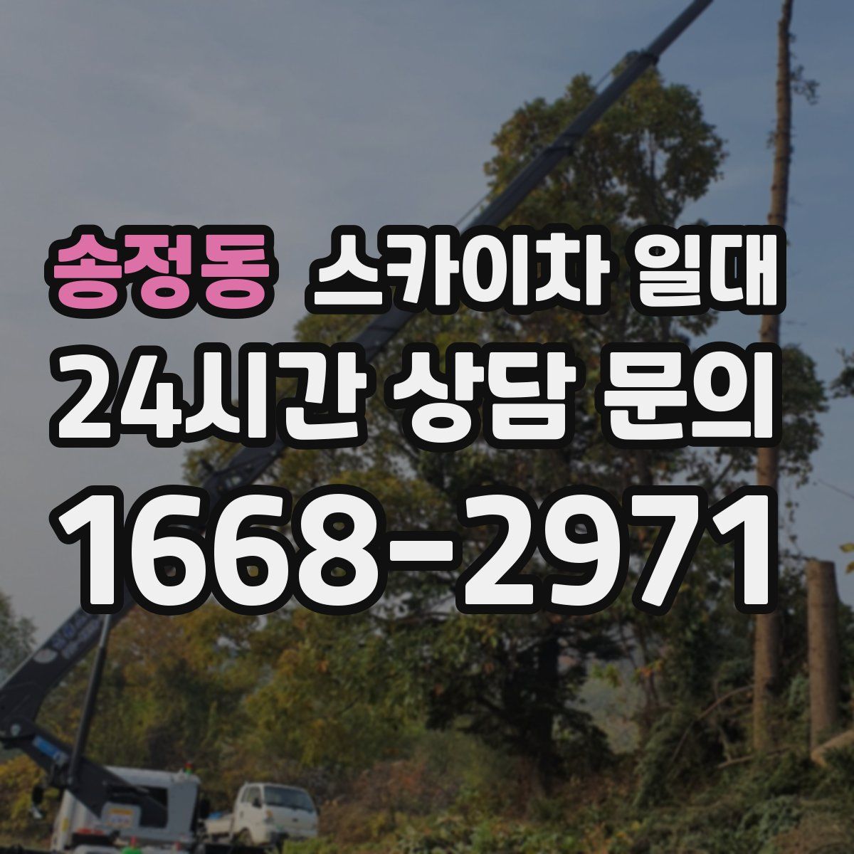 송정동 스카이차 일대