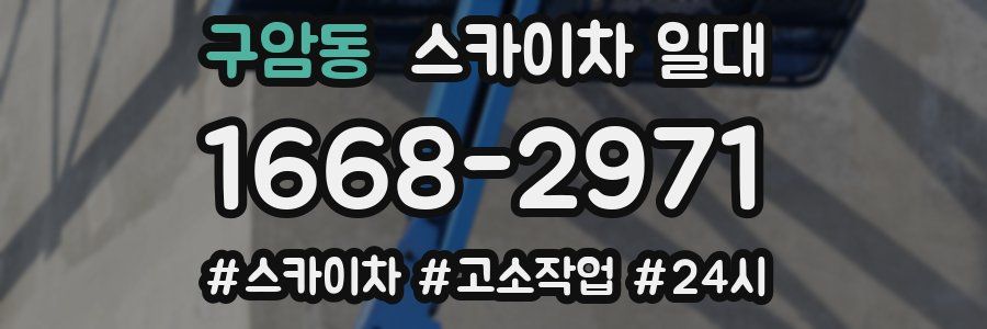 구암동 스카이차 일대