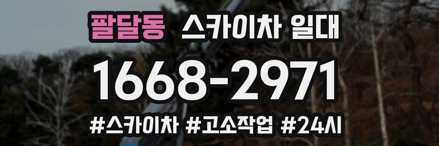팔달동 스카이차 일대